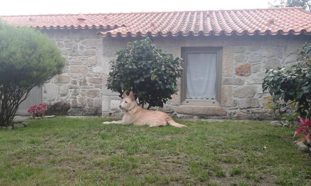 Casa Maria Da Assuncao Villa Vila Nova de Cerveira Camera foto